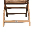 Monkey Folding Chair With Arm-5.webp